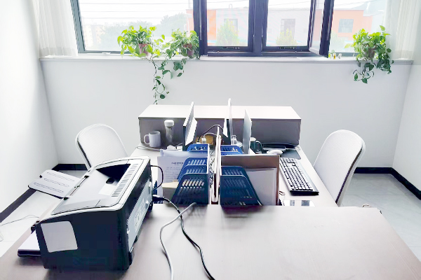 Company Introduction